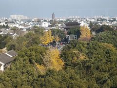 -顽啤熊·酒客酒馆(苏城夜景必选店)