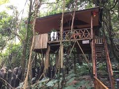 -天门沟九州驿站树上汤泉