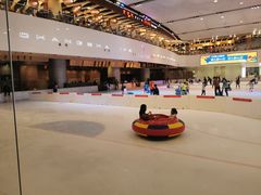 -TheRink大零溜冰场(IFS国金中心店)