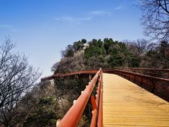 -少华山国家森林公园