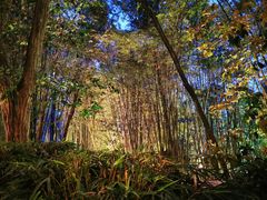 -竹海听涛生态山庄