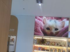 -希望动物医院(汉阳院)