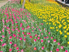 -长春公园(普阳街道)