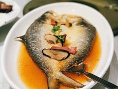 清蒸糟鲥鱼-骏莱海鲜鱼港(五角场店)