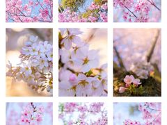 -福建鲤鱼洲酒店