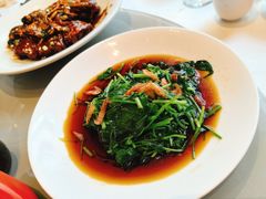 樱花虾橄榄苗-红城阁·上海味道(四平路店)