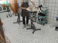 -BABIT巴比特宠物(MOMOPARK店)