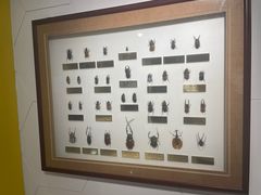 -上海昆虫博物馆