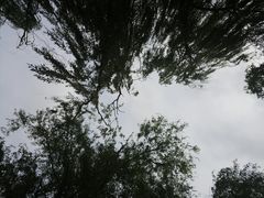 -廊坊文化艺术中心