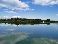 -东郊湿地公园