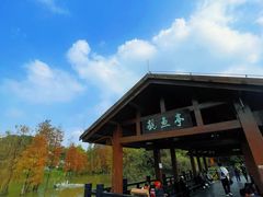 -海珠湖公园