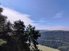 -铁山坪森林公园