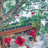 渣济古镇