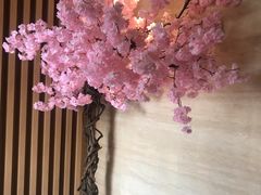 -紫· 割烹  Kappo Murasaki