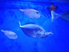 -海合安青岛极地海洋公园