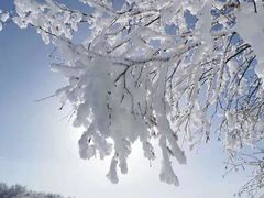 -塞罕坝国家级自然保护区