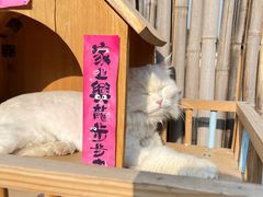 -小时光咖啡馆(开森度假森林店)