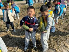 -北京市丰台区阳光起点锦城幼儿园(丰台园)