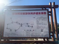 -大岭沟猕猴桃谷风景区