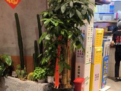 -朱光玉火锅馆(正弘城店)