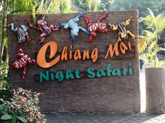门面-清迈夜间动物园