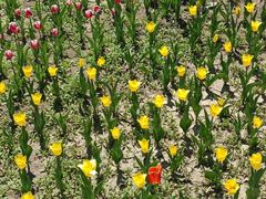 -长春公园(普阳街道)