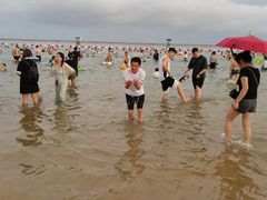 -碧海金沙
