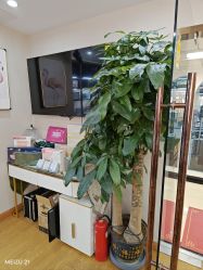 -茜茜美妍堂·华熙生物·甜朵体验中心