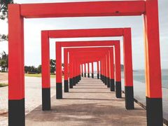 -漳州滨海火山岛自然生态风景区