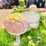 变身爱丽丝🧚‍♀️喝一次绿野仙踪的下午茶