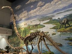 -自贡恐龙博物馆