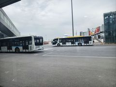 -陇兴楼兰州拉面(西安咸阳国际机场店)
