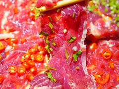 -潘小辣鲜肉老火锅