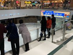 -TheRink大零溜冰场(IFS国金中心店)