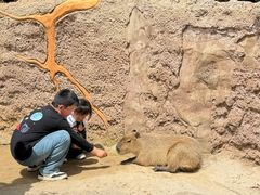 -杭州野生动物世界