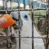 大兴野生动物园半日游