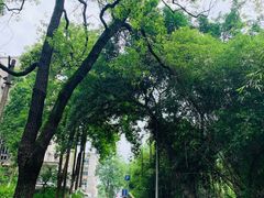 -西南政法大学(沙坪坝校区)
