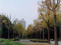 -苏州河梦清园环保主题公园