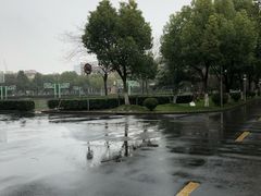 -上海市实验学校