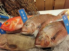 -西村日本料理(香格里拉饭店)