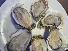 -千岛蚝高压锅生蚝·人参火锅(白云万达店)