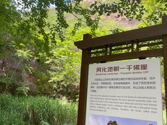 -灵溪风景区