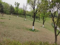 -鹦鹉寺公园
