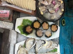 -中苑海韵