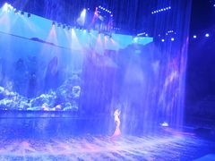 -芜湖新华联大白鲸海洋公园