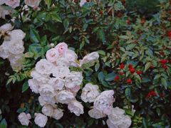 -人民公园(罗湖区)