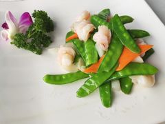 -云中小雅