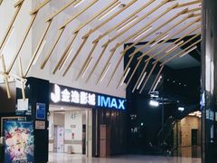 -金逸影城(武汉人信汇IMAX店)