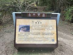 -卡定沟景区