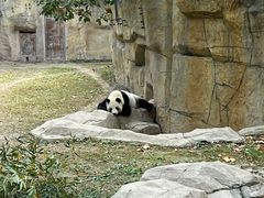 -上海野生动物园